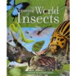 The Amazing World of Insects