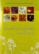 Women in Bible…and Me: Bible Lessons