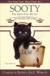 Sooty, The Green-Eyed Kitten