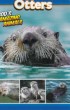 Otters God's Amazing Animals pk100